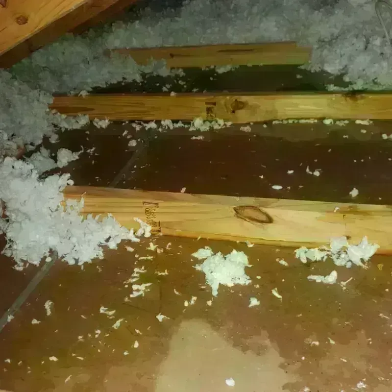 Attic Water Damage in Byron, GA