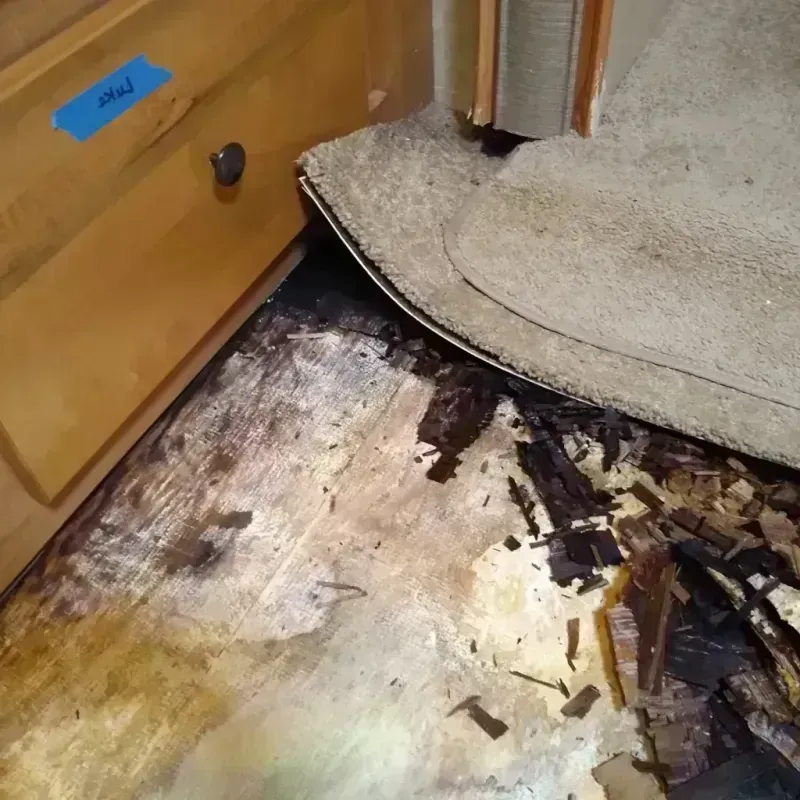 Best Wood Floor Water Damage Service in Byron, GA